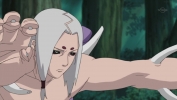 Naruto-Shippuuden-episode-307-screenshot-005.jpg