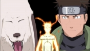 Naruto-Shippuuden-episode-315-screenshot-051.jpg