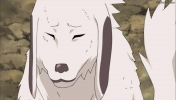 Naruto-Shippuuden-episode-315-screenshot-064.jpg